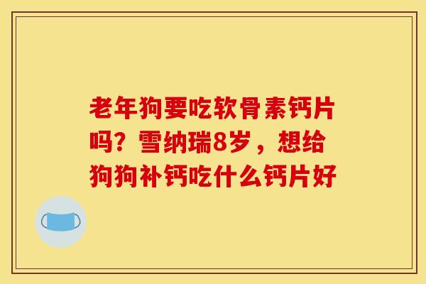 老年狗要吃软骨素钙片吗？雪纳瑞8岁，想给狗狗补钙吃什么钙片好