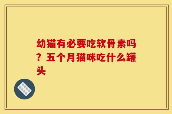 幼猫有必要吃软骨素吗？五个月猫咪吃什么罐头