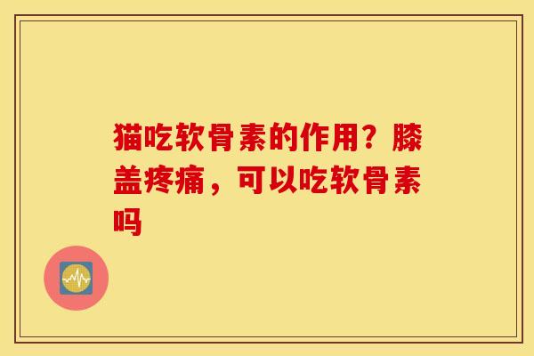 猫吃软骨素的作用？膝盖疼痛，可以吃软骨素吗