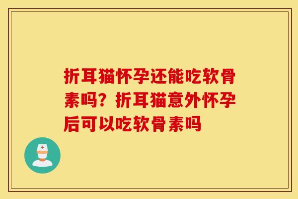 折耳猫怀孕还能吃软骨素吗？折耳猫意外怀孕后可以吃软骨素吗
