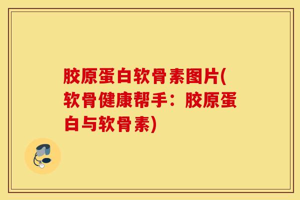 胶原蛋白软骨素图片(软骨健康帮手：胶原蛋白与软骨素)
