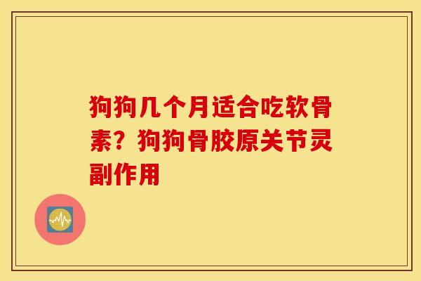 狗狗几个月适合吃软骨素？狗狗骨胶原关节灵副作用