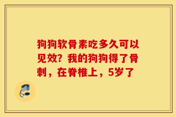狗狗软骨素吃多久可以见效？我的狗狗得了骨刺，在脊椎上，5岁了