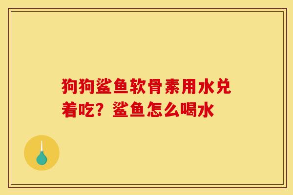 狗狗鲨鱼软骨素用水兑着吃？鲨鱼怎么喝水