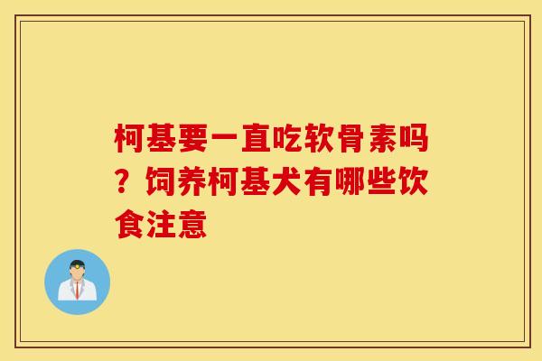 柯基要一直吃软骨素吗？饲养柯基犬有哪些饮食注意