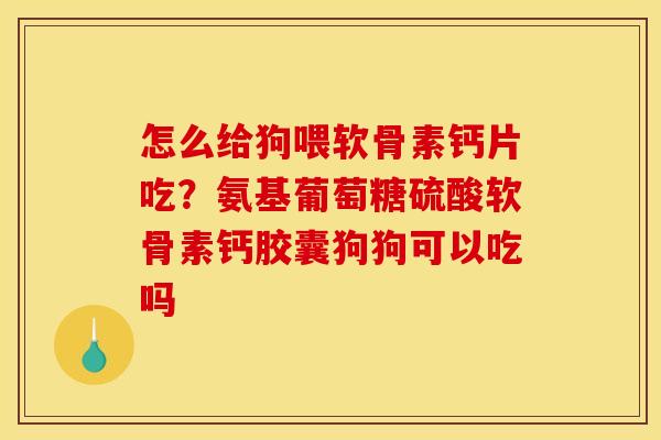 怎么给狗喂软骨素钙片吃？氨基葡萄糖硫酸软骨素钙胶囊狗狗可以吃吗