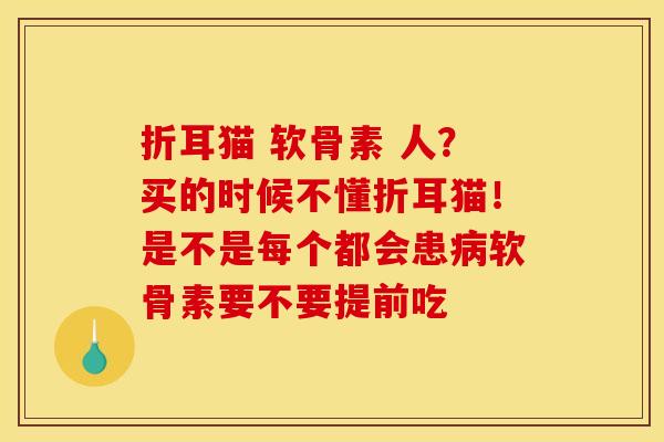 折耳猫 软骨素 人？买的时候不懂折耳猫！是不是每个都会患病软骨素要不要提前吃