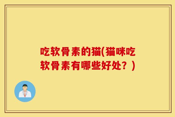 吃软骨素的猫(猫咪吃软骨素有哪些好处？)