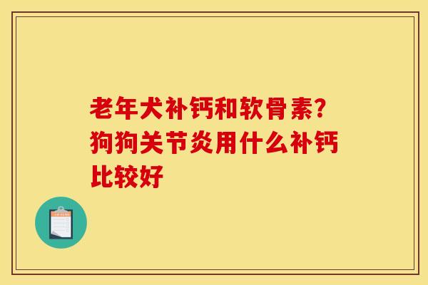老年犬补钙和软骨素？狗狗关节炎用什么补钙比较好