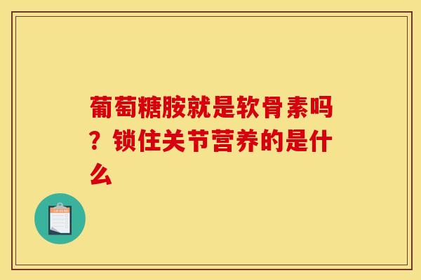 葡萄糖胺就是软骨素吗？锁住关节营养的是什么