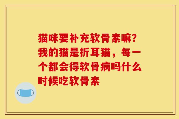 猫咪要补充软骨素嘛？我的猫是折耳猫，每一个都会得软骨病吗什么时候吃软骨素