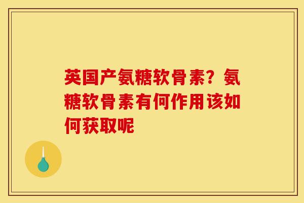 英国产氨糖软骨素？氨糖软骨素有何作用该如何获取呢