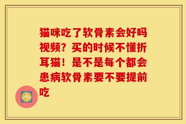 猫咪吃了软骨素会好吗视频？买的时候不懂折耳猫！是不是每个都会患病软骨素要不要提前吃