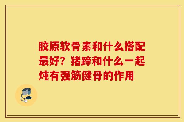 胶原软骨素和什么搭配最好？猪蹄和什么一起炖有强筋健骨的作用