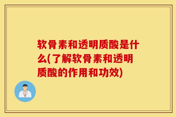 软骨素和透明质酸是什么(了解软骨素和透明质酸的作用和功效)