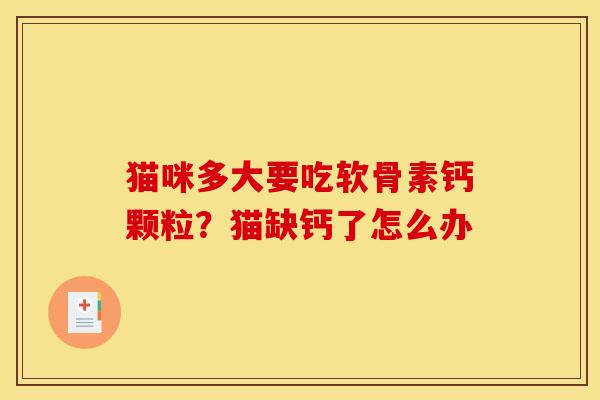 猫咪多大要吃软骨素钙颗粒？猫缺钙了怎么办