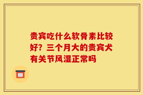 贵宾吃什么软骨素比较好？三个月大的贵宾犬有关节风湿正常吗