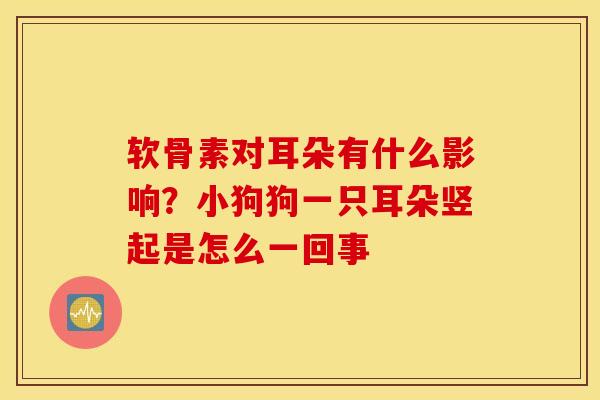 软骨素对耳朵有什么影响？小狗狗一只耳朵竖起是怎么一回事