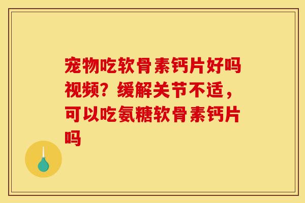 宠物吃软骨素钙片好吗视频？缓解关节不适，可以吃氨糖软骨素钙片吗