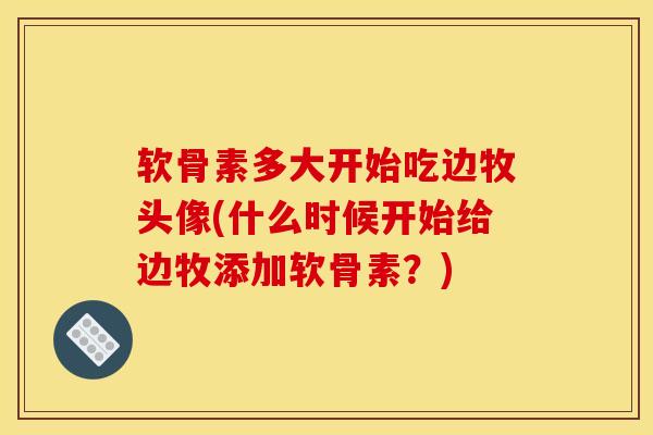 软骨素多大开始吃边牧头像(什么时候开始给边牧添加软骨素？)