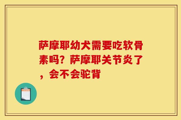 萨摩耶幼犬需要吃软骨素吗？萨摩耶关节炎了，会不会驼背