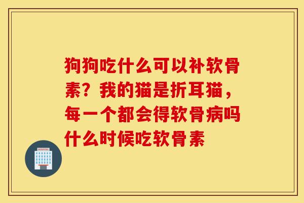 狗狗吃什么可以补软骨素?我的猫是折耳猫,每一个都会得软骨病吗什么时候吃软骨素 狗狗吃什么可以补软骨素?我的猫是折耳猫,每一个都会得软骨病吗什么时候吃软骨素
