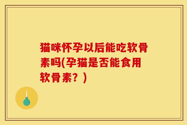 猫咪怀孕以后能吃软骨素吗(孕猫是否能食用软骨素？)