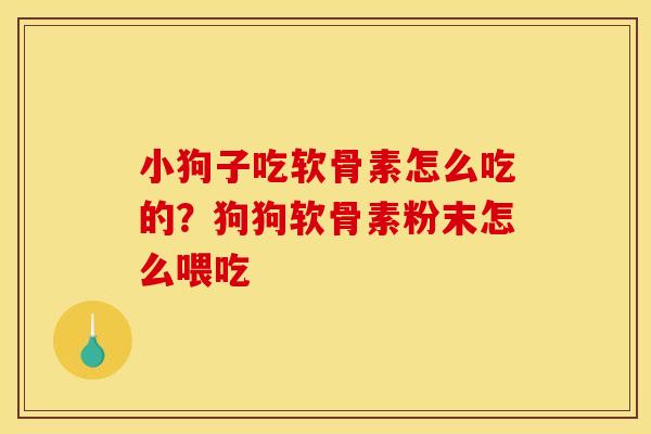小狗子吃软骨素怎么吃的？狗狗软骨素粉末怎么喂吃