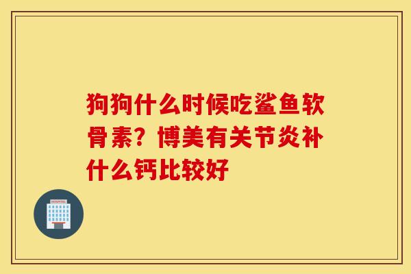 狗狗什么时候吃鲨鱼软骨素？博美有关节炎补什么钙比较好
