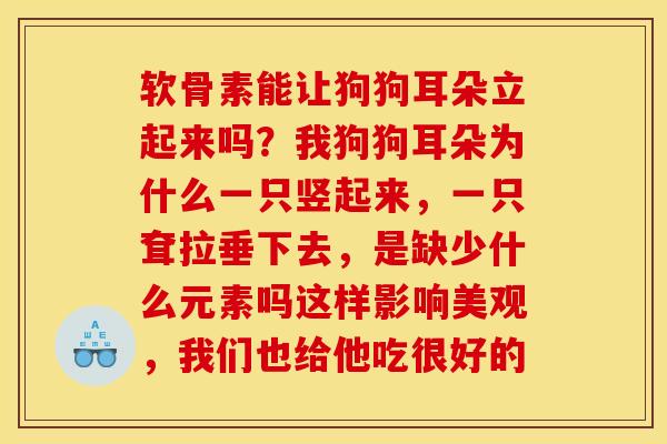 软骨素能让狗狗耳朵立起来吗？我狗狗耳朵为什么一只竖起来，一只耷拉垂下去，是缺少什么元素吗这样影响美观，我们也给他吃很好的