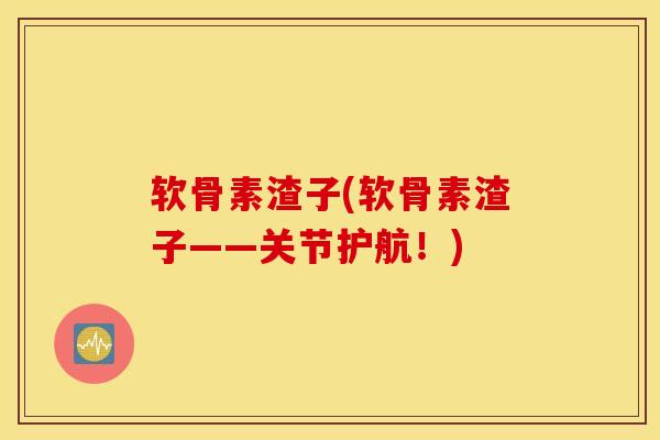 软骨素渣子(软骨素渣子——关节护航！)