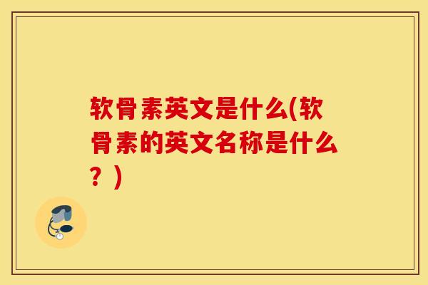 软骨素英文是什么(软骨素的英文名称是什么？)