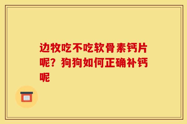 边牧吃不吃软骨素钙片呢？狗狗如何正确补钙呢