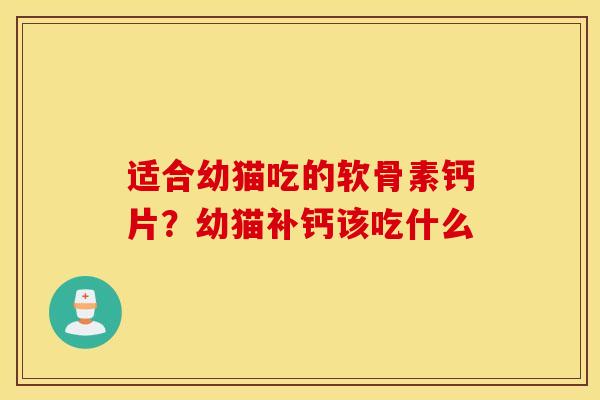 适合幼猫吃的软骨素钙片？幼猫补钙该吃什么