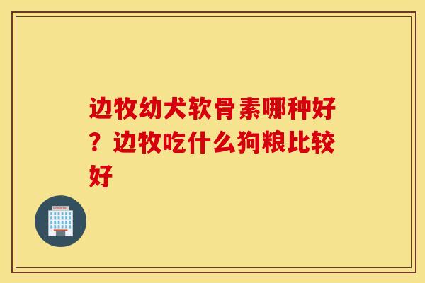 边牧幼犬软骨素哪种好？边牧吃什么狗粮比较好