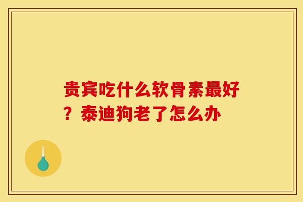 贵宾吃什么软骨素最好?泰迪狗老了怎么办 贵宾吃什么软骨素最好?泰迪狗老了怎么办