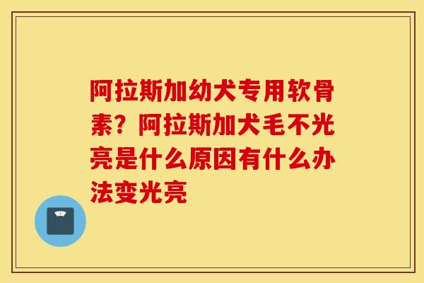 阿拉斯加幼犬专用软骨素？阿拉斯加犬毛不光亮是什么原因有什么办法变光亮