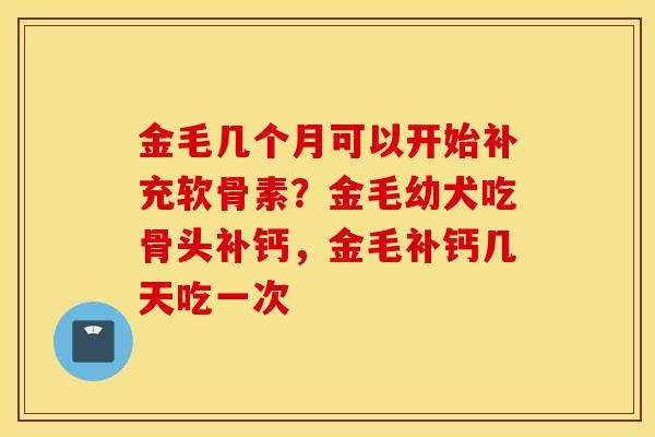 金毛几个月可以开始补充软骨素？金毛幼犬吃骨头补钙，金毛补钙几天吃一次