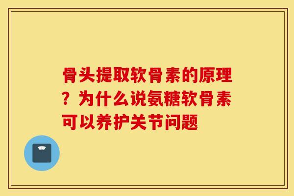 骨头提取软骨素的原理？为什么说氨糖软骨素可以养护关节问题