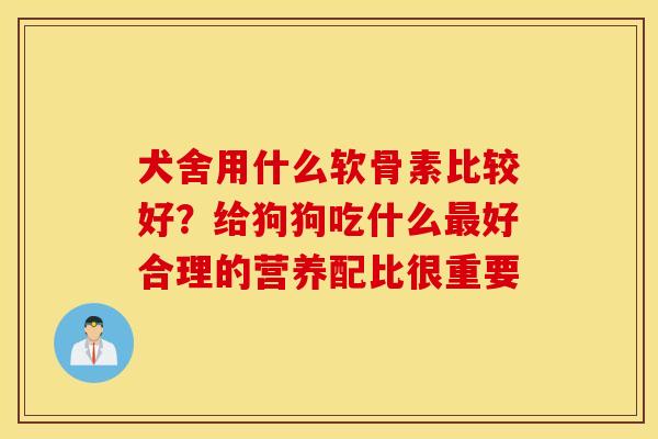 犬舍用什么软骨素比较好？给狗狗吃什么最好合理的营养配比很重要