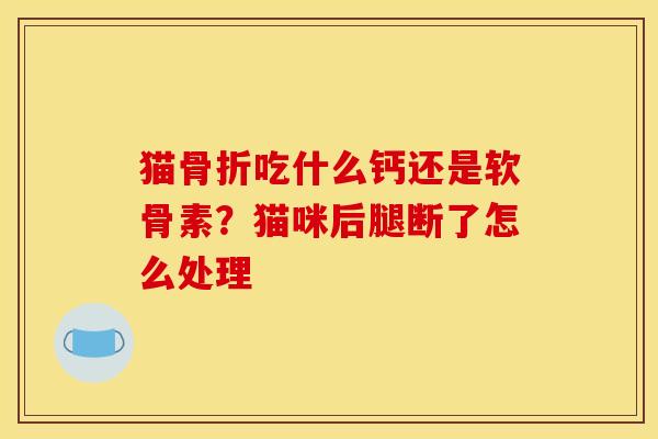 猫骨折吃什么钙还是软骨素？猫咪后腿断了怎么处理