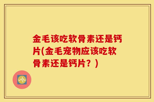 金毛该吃软骨素还是钙片(金毛宠物应该吃软骨素还是钙片？)