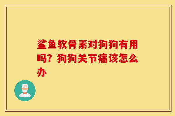 鲨鱼软骨素对狗狗有用吗？狗狗关节痛该怎么办