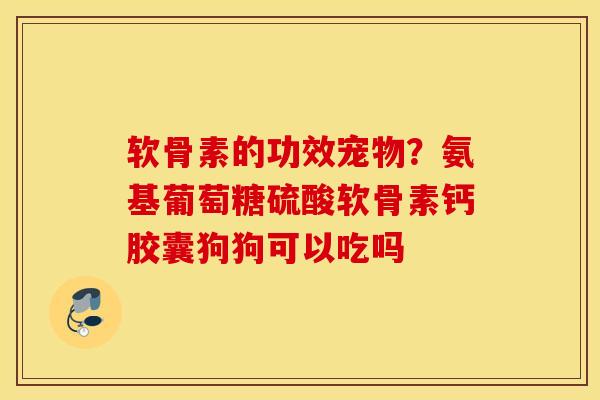 软骨素的功效宠物？氨基葡萄糖硫酸软骨素钙胶囊狗狗可以吃吗