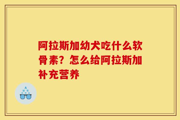 阿拉斯加幼犬吃什么软骨素？怎么给阿拉斯加补充营养