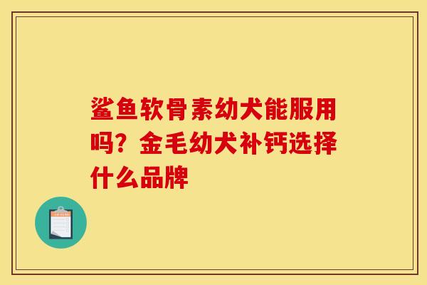 鲨鱼软骨素幼犬能服用吗？金毛幼犬补钙选择什么品牌