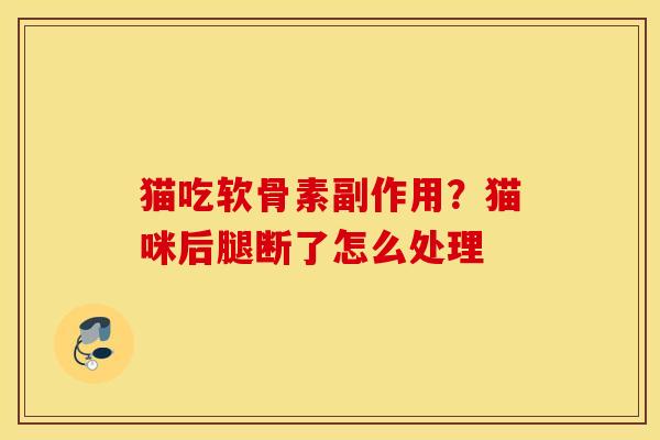 猫吃软骨素副作用？猫咪后腿断了怎么处理