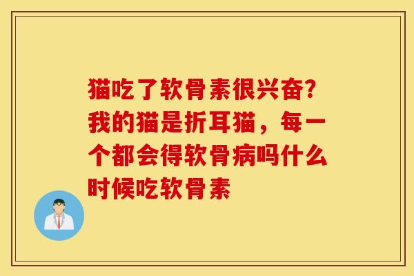 猫吃了软骨素很兴奋？我的猫是折耳猫，每一个都会得软骨病吗什么时候吃软骨素
