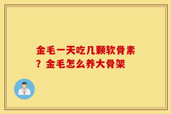 金毛一天吃几颗软骨素？金毛怎么养大骨架