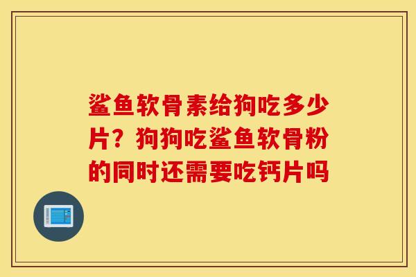 鲨鱼软骨素给狗吃多少片？狗狗吃鲨鱼软骨粉的同时还需要吃钙片吗